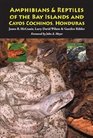 The Amphibians  Reptiles of the Bay Islands And Cayos Cochinos Honduras