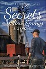 Secrets of Willow Springs (Amish of Lawrence County, Bk 3)