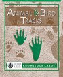 Animal  Bird Tracks Sierra Club Knowledge Cards Deck