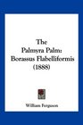 The Palmyra Palm Borassus Flabelliformis