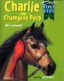Charlie the Champion Pony