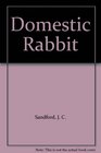 Domestic Rabbit
