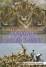 Animals Under Threat