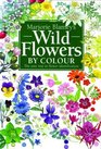 Wild Flowers by Colour
