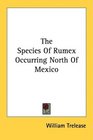 The Species Of Rumex Occurring North Of Mexico