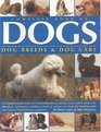 Complete Book of Dogs Dog Breeds and Dog Care