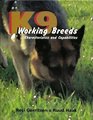 K9 Working Breeds Characteristics and Capabilities