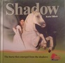 Shadow The Horse That Emerged from the Shadows
