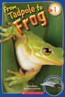 From Tadpole To Frog (Scholastic Reader Level 1)
