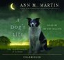 A Dog's Life The Autobiography of a Stray