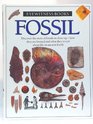 Fossil