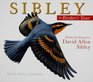 Sibley The Birder's Year 2010 Daily Boxed Calendar
