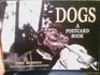 Dogs A Postcard Book