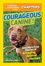 National Geographic Kids Chapters Courageous Canine And More True Stories of Amazing Animal Heroes