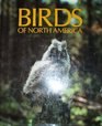 Birds of North America/07407