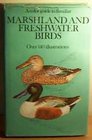 Colour Guide to Familiar Marshland and Freshwater Birds