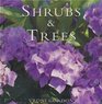 SHRUBS AND TREES