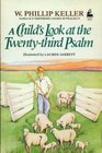 A Child's Look at the 23rd Psalm