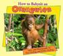 How to Babysit an Orangutan