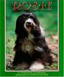 Rosie: A Visiting Dog\'s Story
