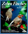 Zebra Finches Everything About Housing Care Nutrition Breeding and Disease