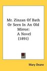 Mr Zinzan Of Bath Or Seen In An Old Mirror A Novel