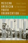 Mexican American Youth Organization AvantGarde of the Chicano Movement in Texas