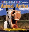 Animal Antics  Hotlinks Level 8 Book Banded Guided Reading