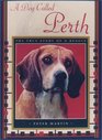 A Dog Called Perth  The True Story or a Beagle