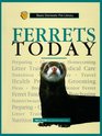 Ferrets Today A Complete and UpToDate Guide