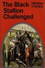 The Black Stallion Challenged