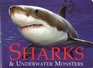 Sharks  Underwater Monsters