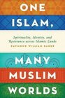 One Islam Many Muslim Worlds Spirituality Identity and Resistance across Islamic Lands