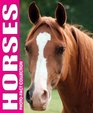 Horses Photo Fact Collection