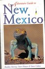 Adventure Guide to New Mexico