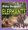 Baby AnimalsElephants