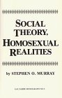 Social Theory Homosexual Realities