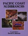 Pacific Coast Nudibranchs A Guide to the Opisthobranchs Alaska to Baja California