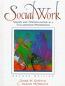 Social Work Issues and Opportunities in a Challenging Profession