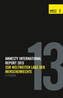 Amnesty Report 2013