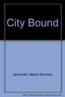 City bound Urban life and political attitudes among Chicano youth