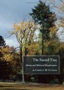 The Sacred Tree Ancient and Medieval Manifestations