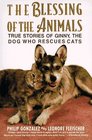 The Blessing of the Animals  True Stories of Ginny the Dog Who Rescues Cats