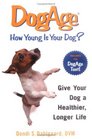 DogAge: How Young Is Your Dog