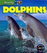 Really Wild Dolphin