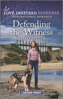 Defending the Witness