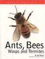 Ants Bees Wasps  Termites