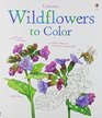 Wildflowers to Color