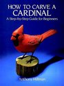 How to Carve a Cardinal  A StepbyStep Guide for Beginners