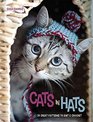 Cats in Hats 30 Great Patterns to Knit and Crochet